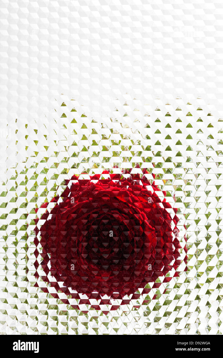 Une rose vu derrière le verre biseauté avec motif hexagonal Banque D'Images