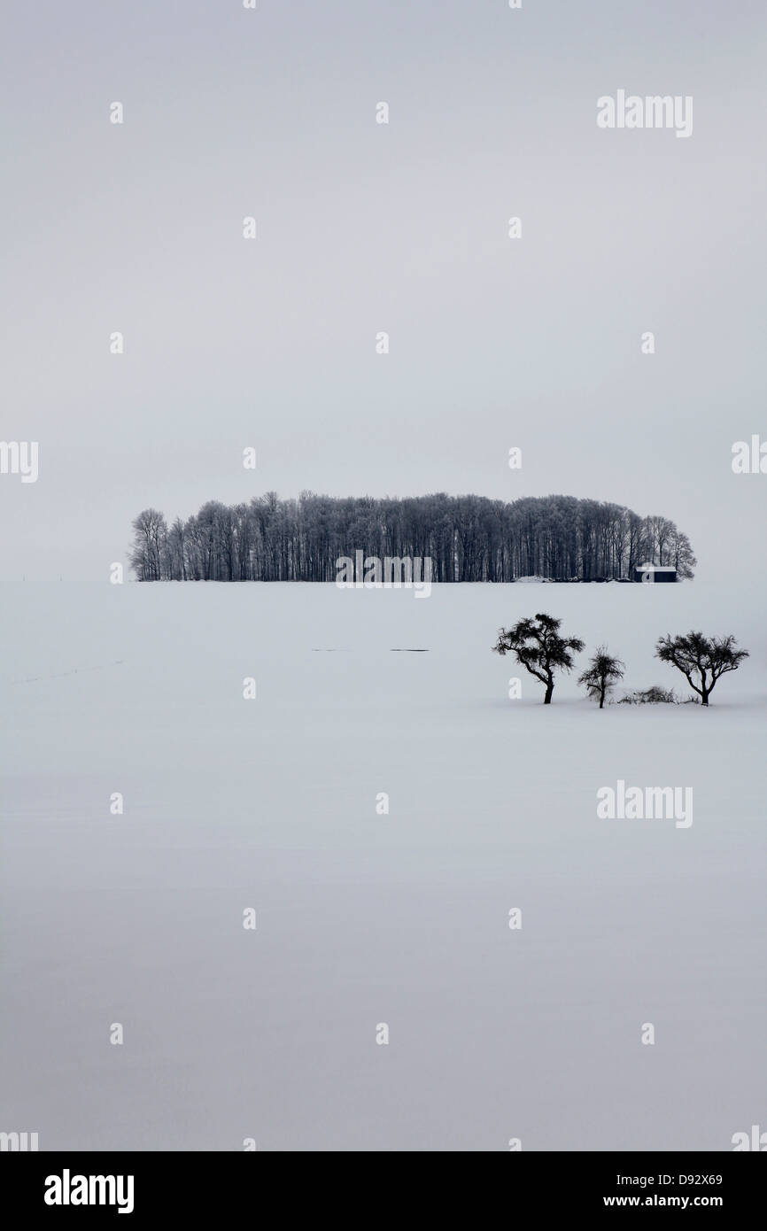 Une structure construite sur le bord d'une zone boisée dans un paysage enneigé Banque D'Images