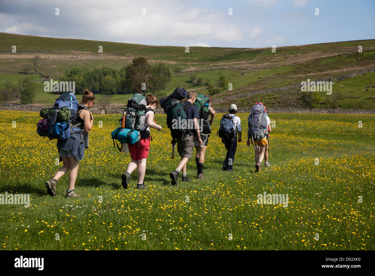Équipe du programme Duke of Edinburgh DofE composée d'hommes et de femmes. Homme traversant la prairie de fleurs marchant vers Bluebell Hill, Apperset, Hawes, North Yorkshire, Royaume-Uni Banque D'Images