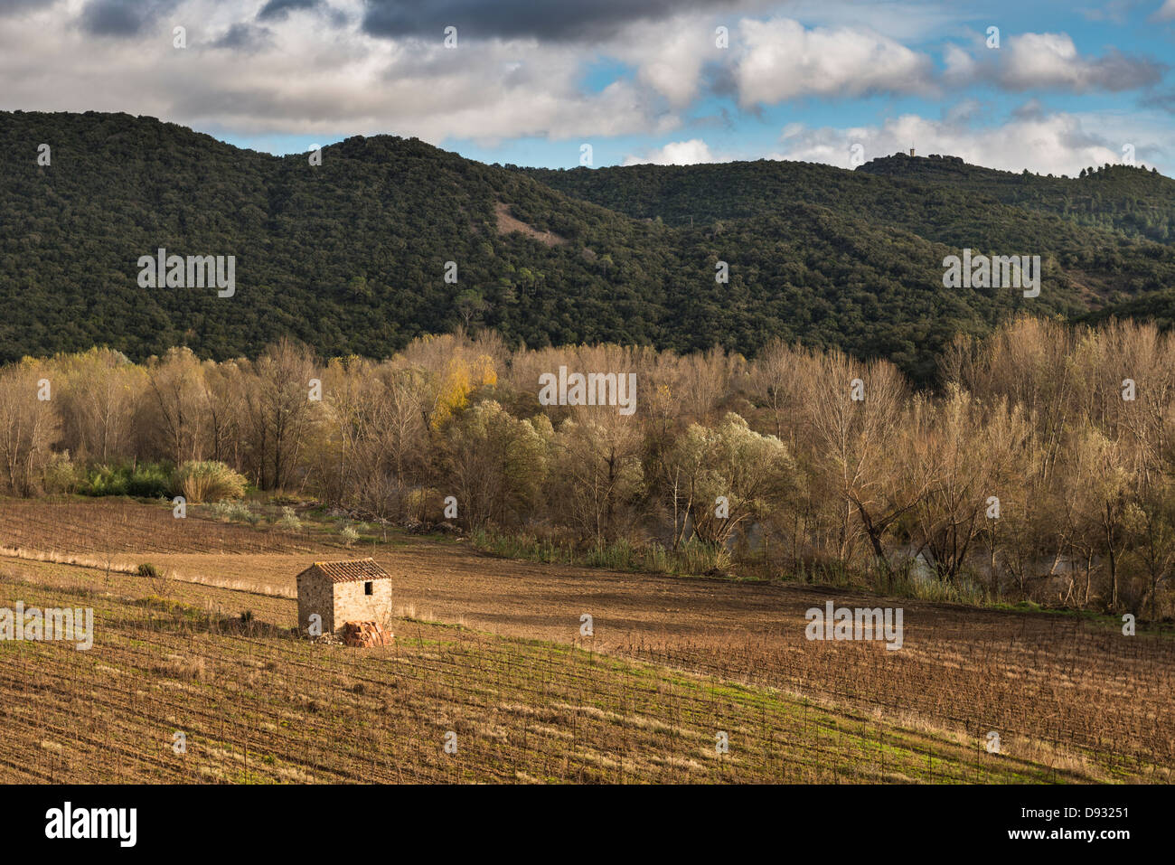 Terrain agricole avec montagnes en arrière-plan (près de Roquebrun), Hérault, Languedoc-Roussillon, France Banque D'Images