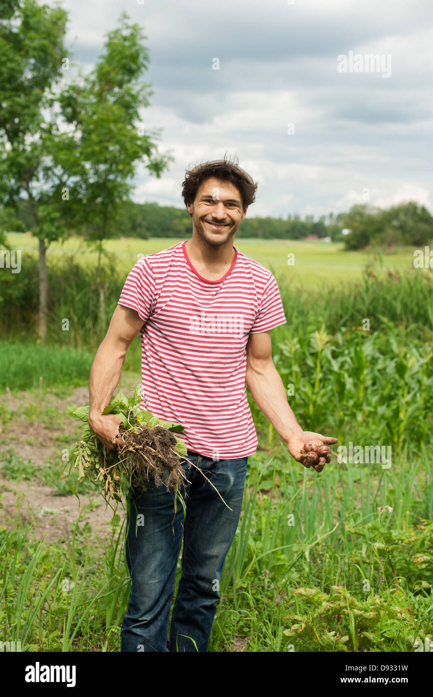 La récolte de l'homme dans le jardin Banque D'Images