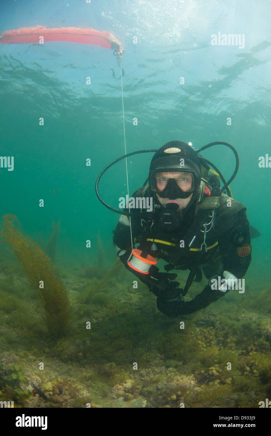 Kimmeridge Bay, plongeur en fiducie pour la faune du Dorset, réserve marine de la réserve volontaire, zone de conservation marine, plongée sous-marine, UK Banque D'Images