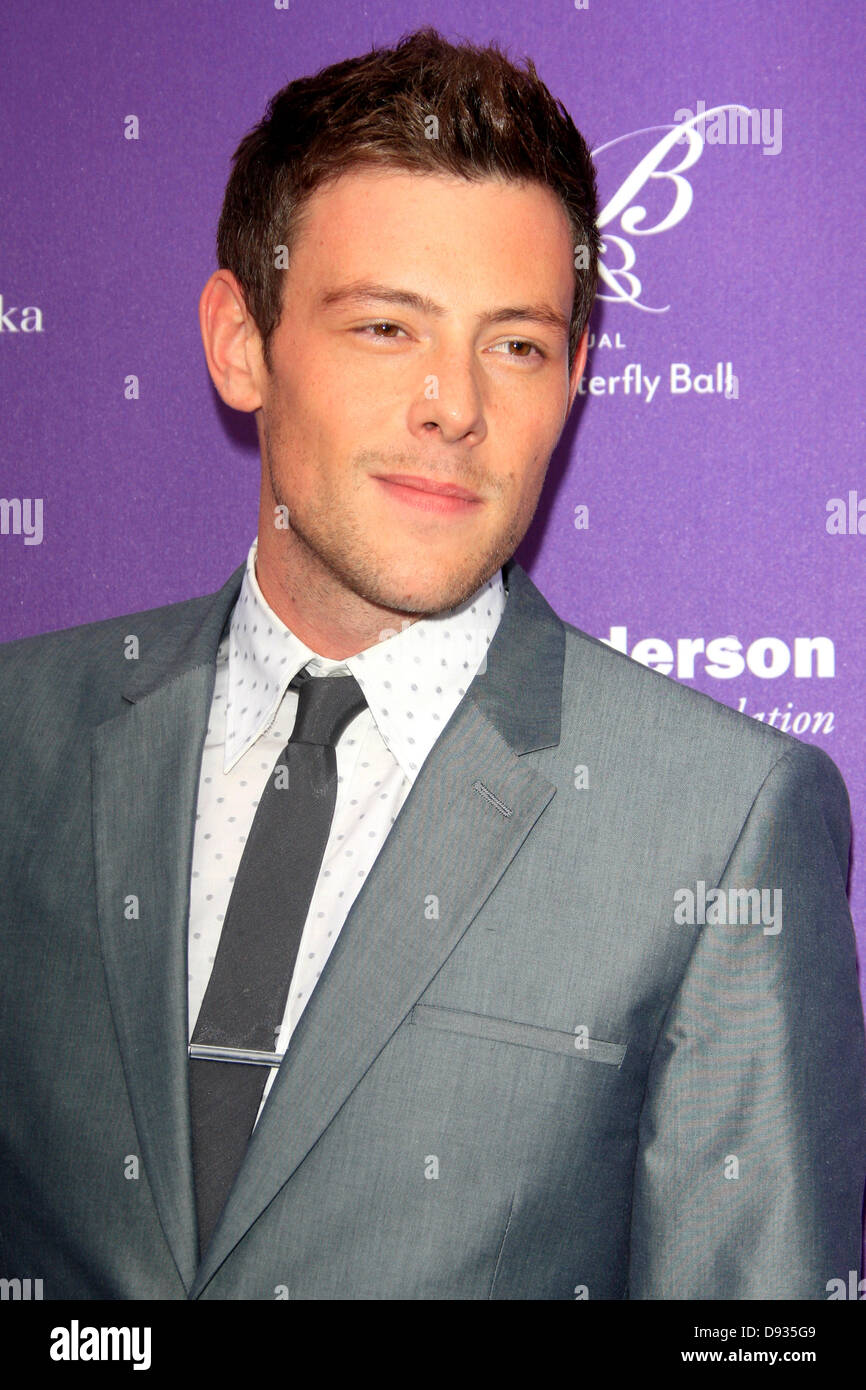 Los Angeles, Californie, USA. 8 juin 2013. Cory Monteith lors du 12e congrès annuel de Chrysalis Butterfly Ball le 8 juin 2013 à Los Angeles, Californie : dpa Crédit photo alliance/Alamy Live News Banque D'Images