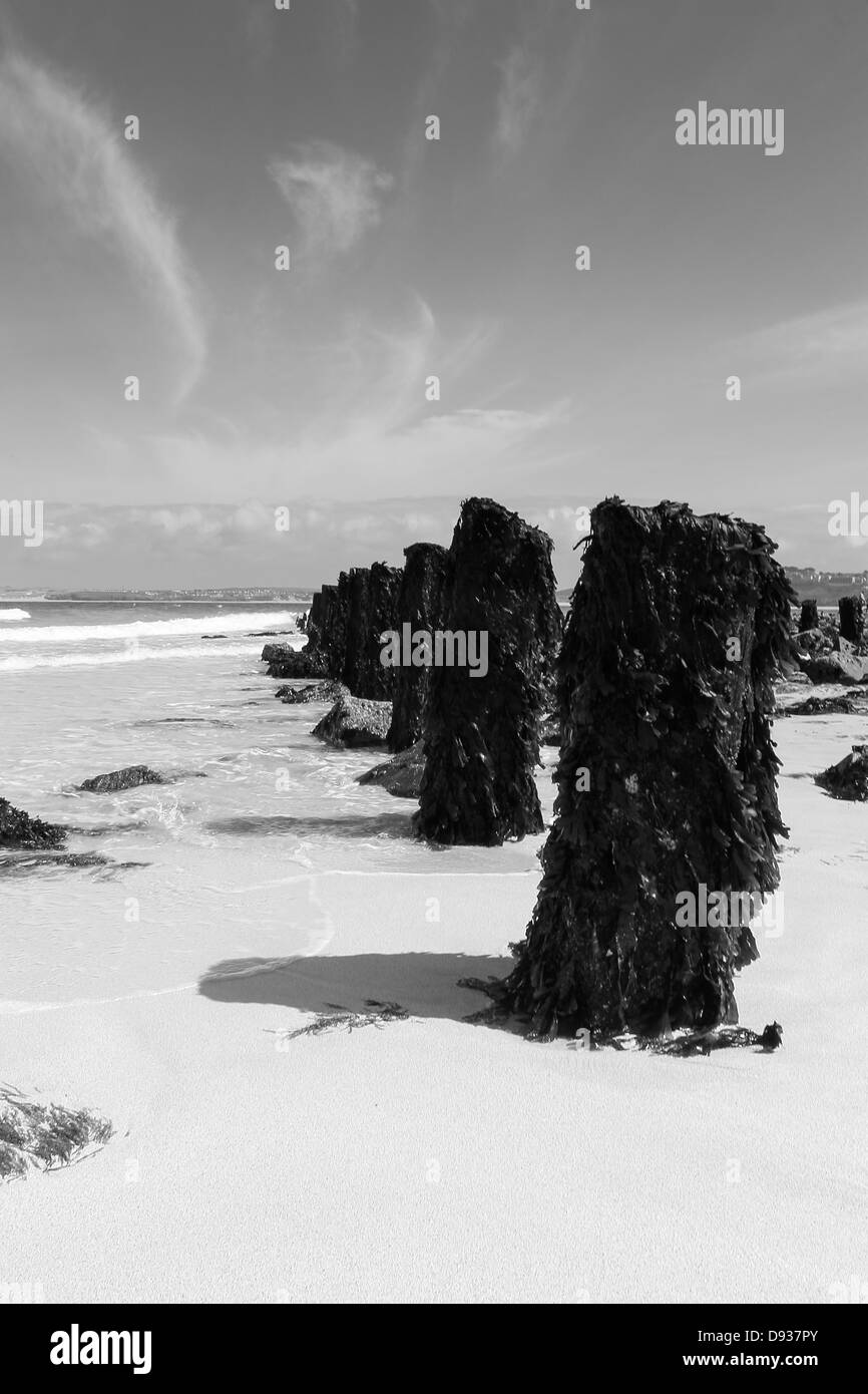 Les vestiges de l'ancienne jetée à St Ives en Cornouailles. Banque D'Images