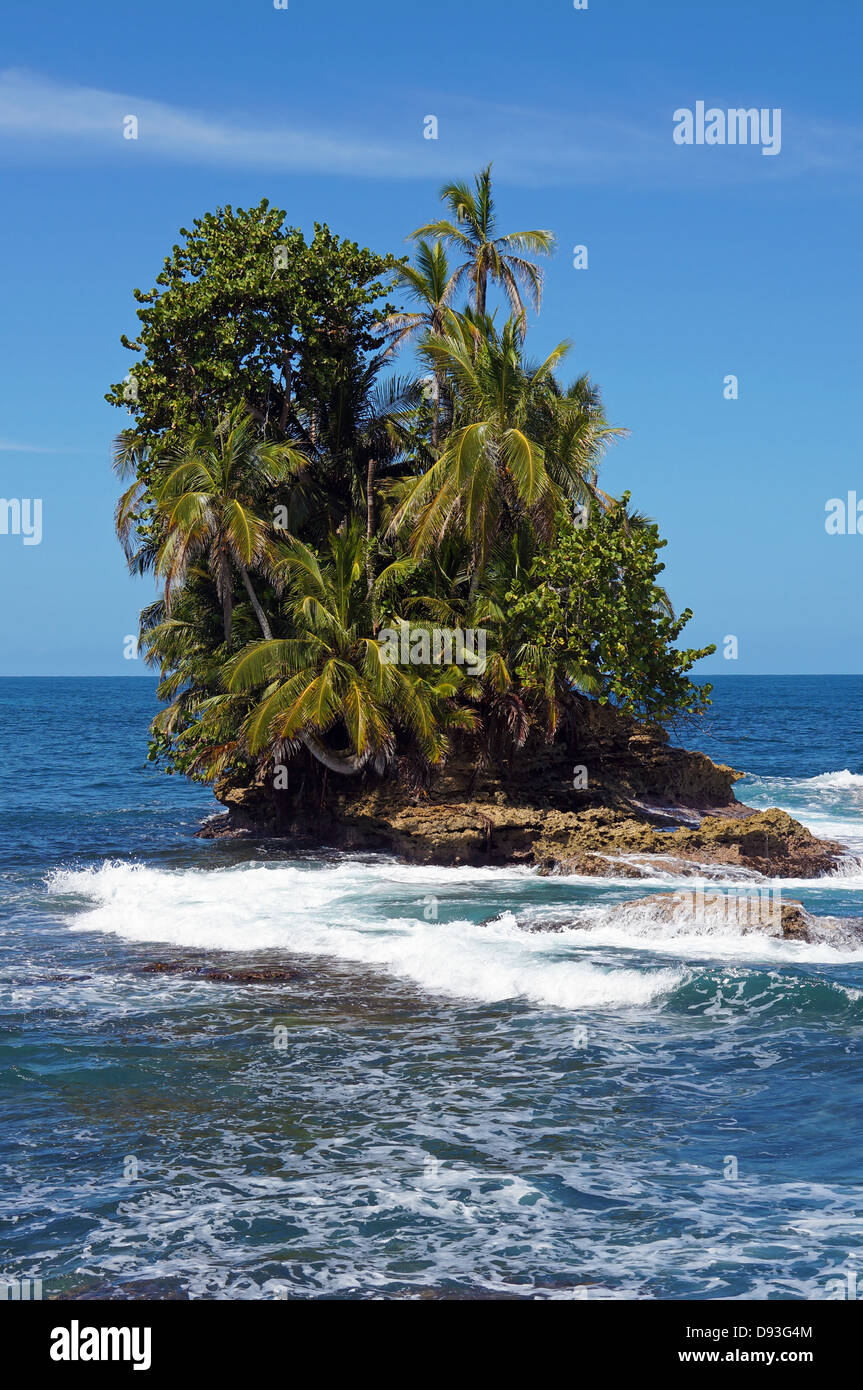 Petits îlots exotiques avec une belle végétation tropicale, Bocas del Toro, Bastimentos, Panama, Amérique Centrale Banque D'Images