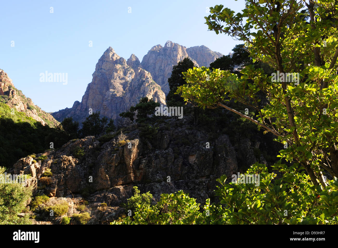 Les gorges de Spelunca, près de Ota, Corse, France Banque D'Images