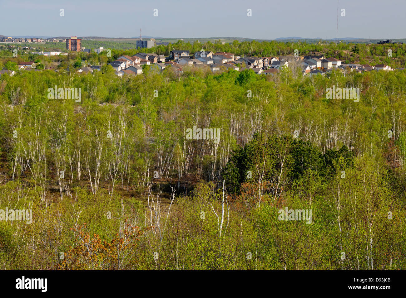 Réseau express régional Sudbury avec les forêts de bouleaux blancs Grand Sudbury Ontario Canada Banque D'Images