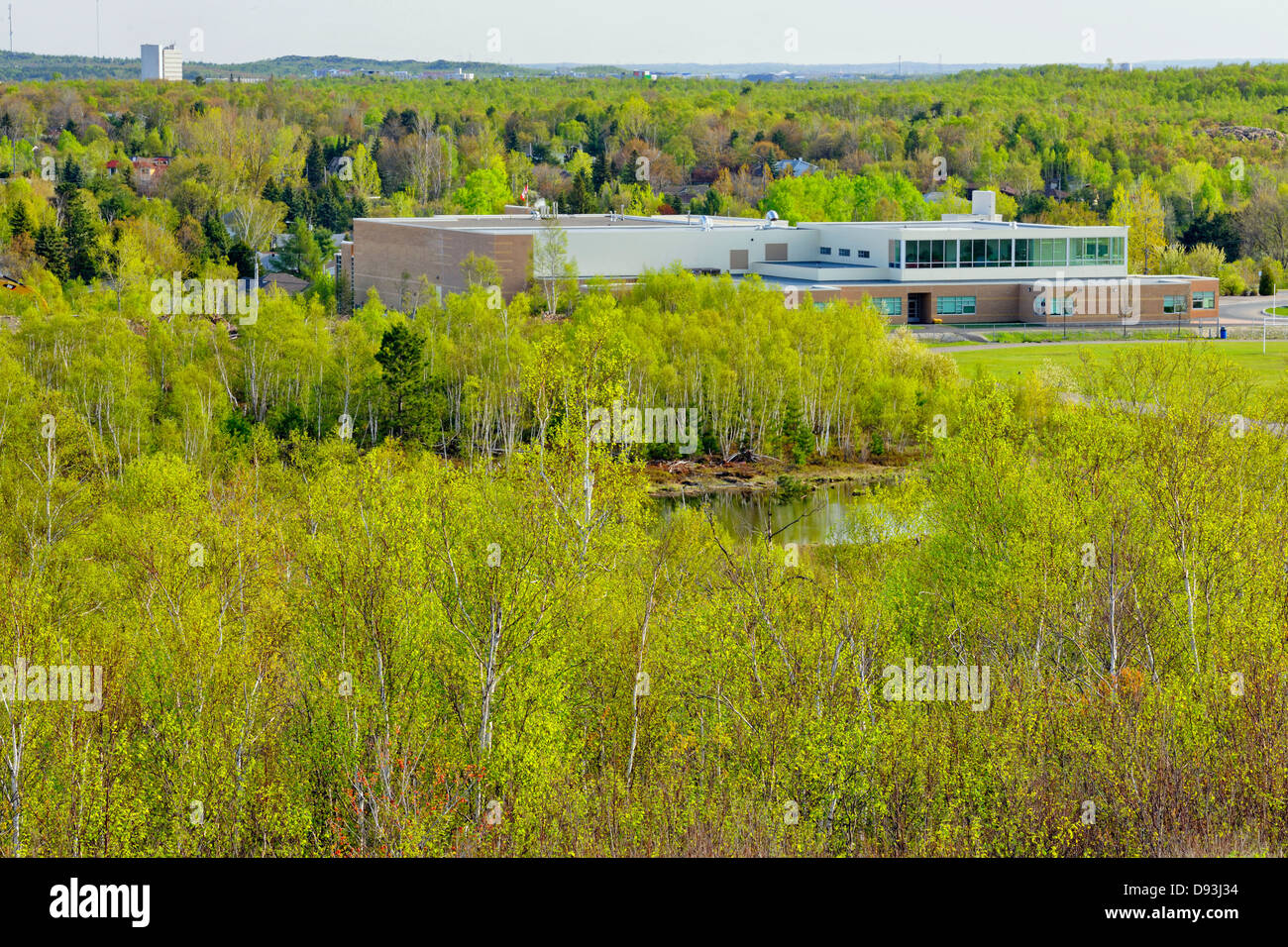 Réseau express régional Sudbury avec les forêts de bouleaux blancs Grand Sudbury Ontario Canada Banque D'Images