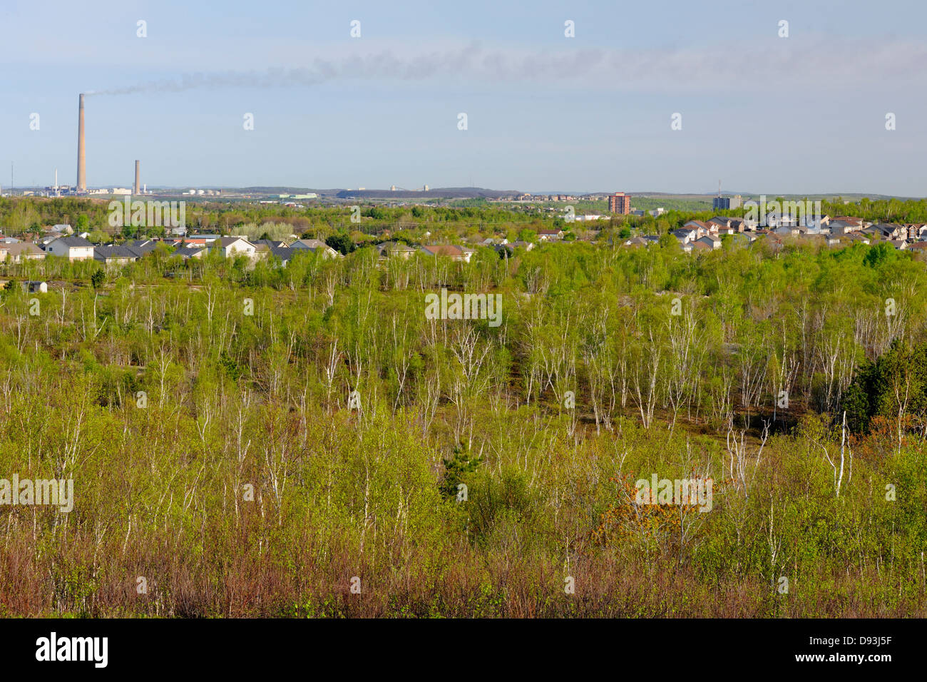 Réseau express régional Sudbury avec les forêts de bouleaux blancs Grand Sudbury Ontario Canada Banque D'Images
