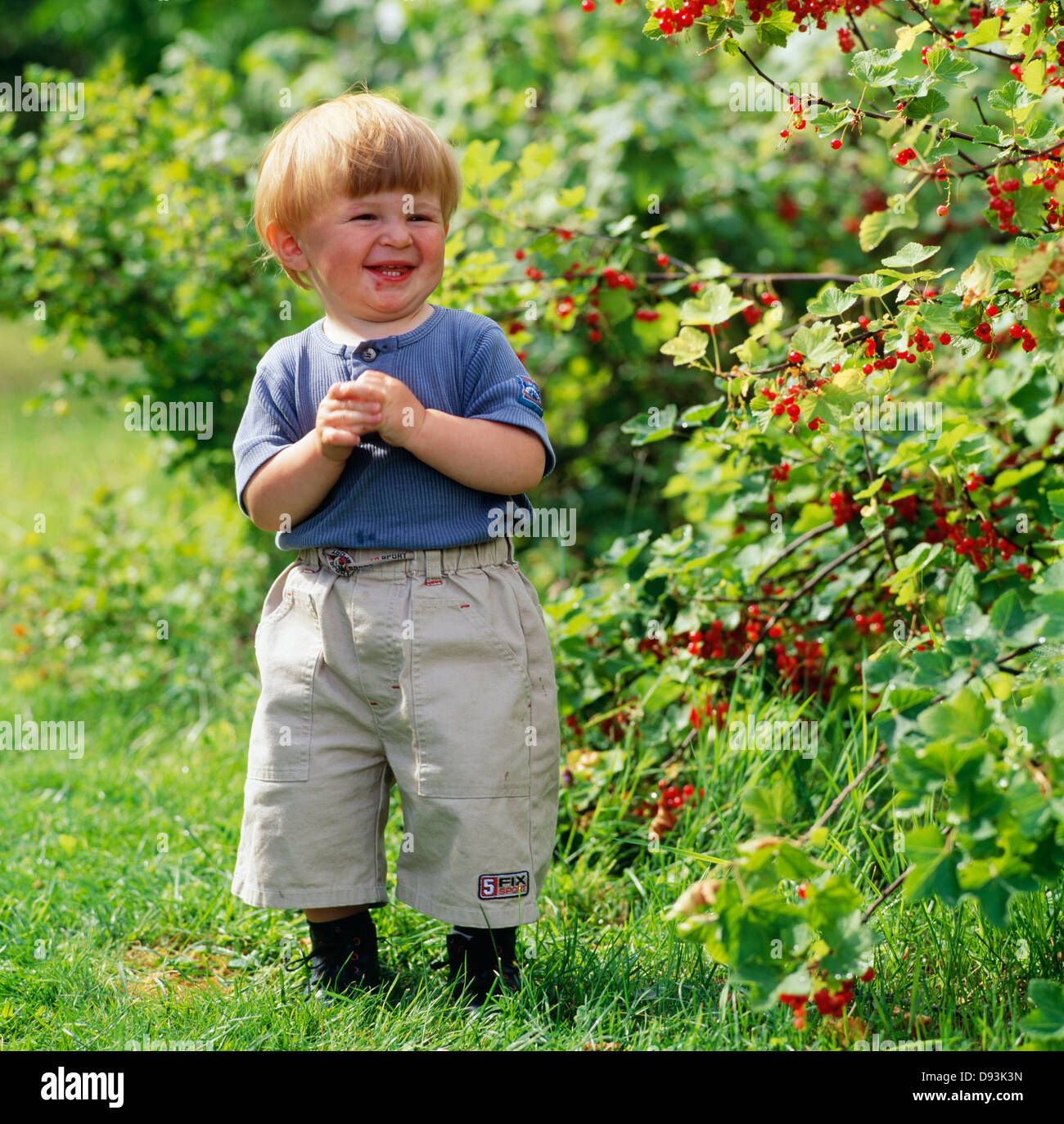 Boy (2-3) standing in garden par cherry tree Banque D'Images