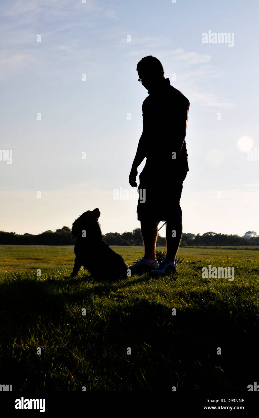 Silhouette d'spainal cocker chien regardant mâle homme faisan de chasse tir propriétaire tournage Royaume-Uni UK Banque D'Images