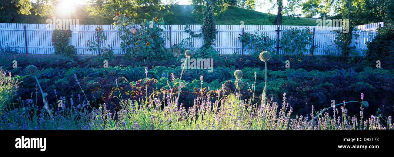 Jardin avec une clôture. Banque D'Images