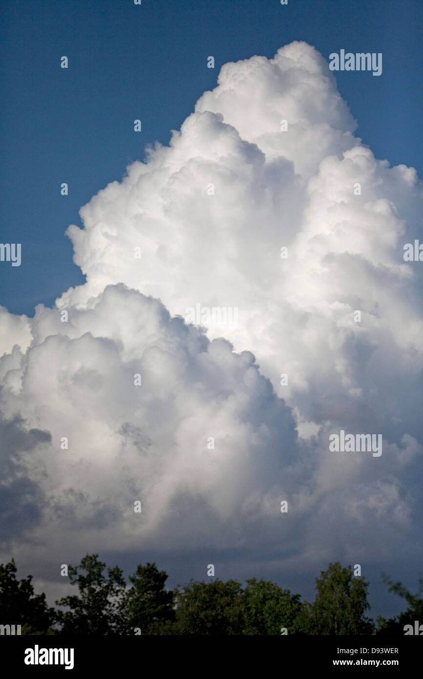 Nuage Cumulus Banque D'Images