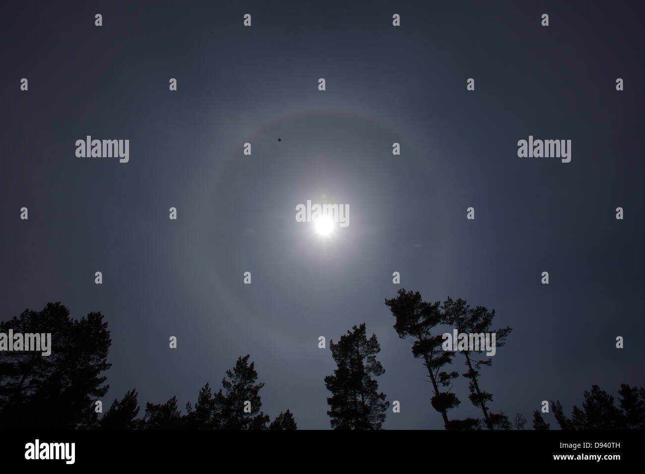 Soleil sur un ciel clair Banque D'Images