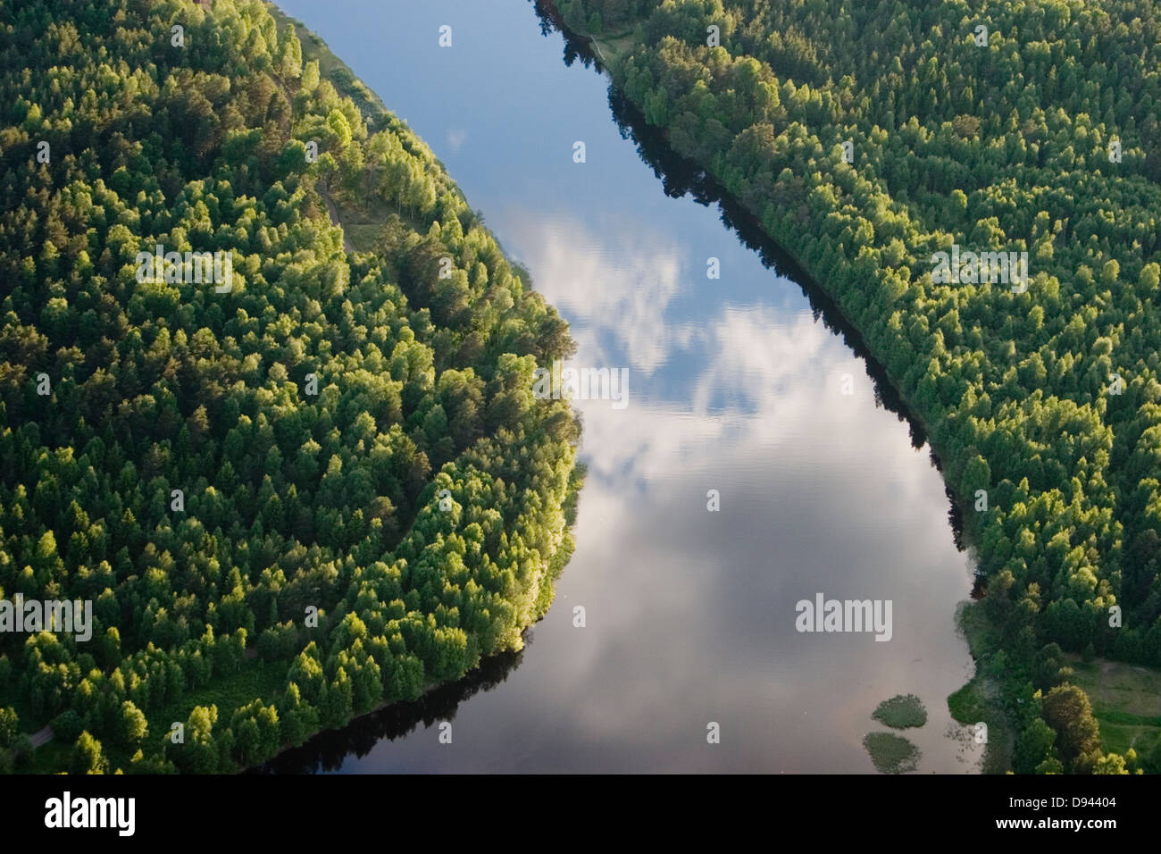 Une petite rivière dans une forêt, vue aérienne, dalarna, Suède. Banque D'Images