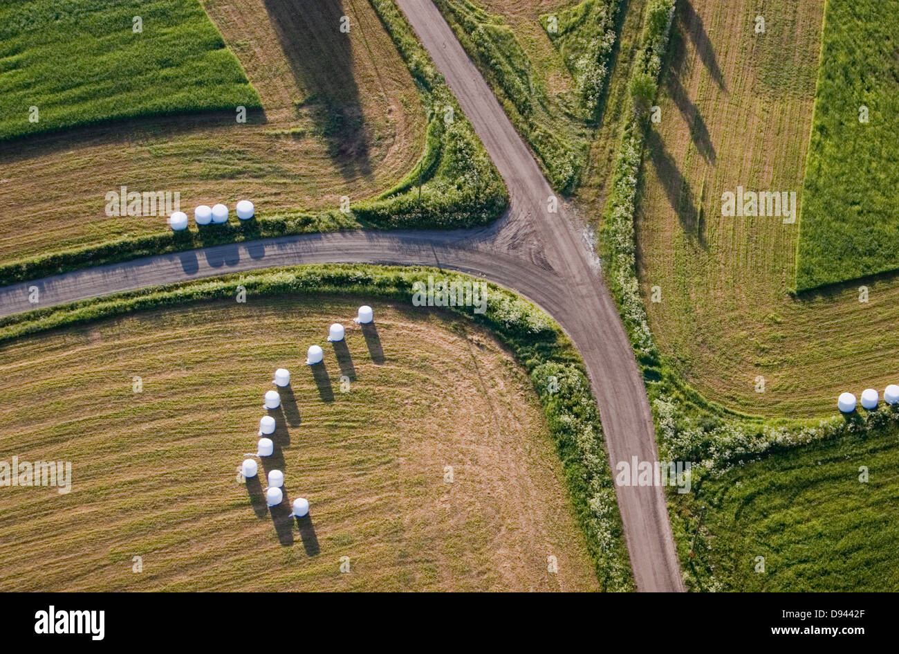 Champs et de l'ensilage, Best Western Eden, en Suède. Banque D'Images