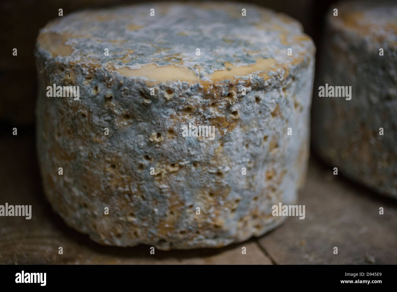 Roues de fromage bleu sur une étagère Banque D'Images