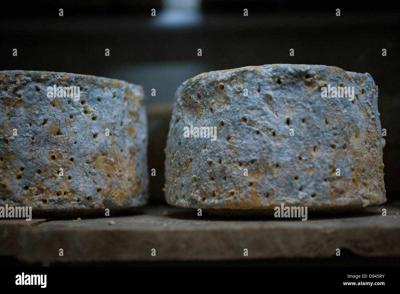 Roues de fromage bleu sur une étagère Banque D'Images