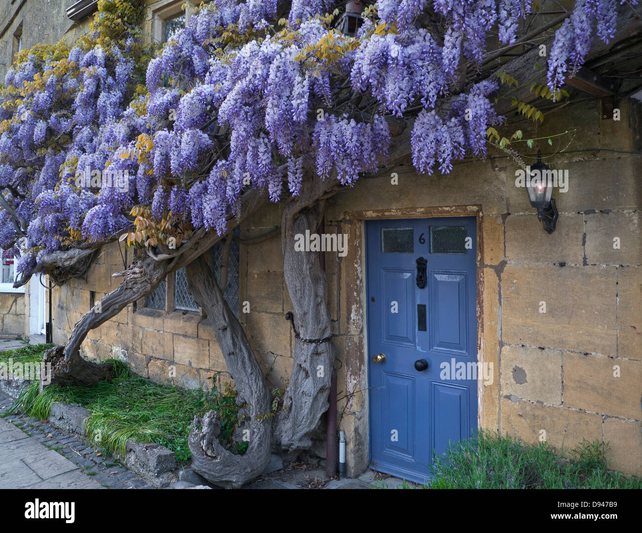 Sur le mur de wisteria cottage historique au crépuscule dans le centre de village Broadway Worcestershire Angleterre Cotswolds UK Banque D'Images