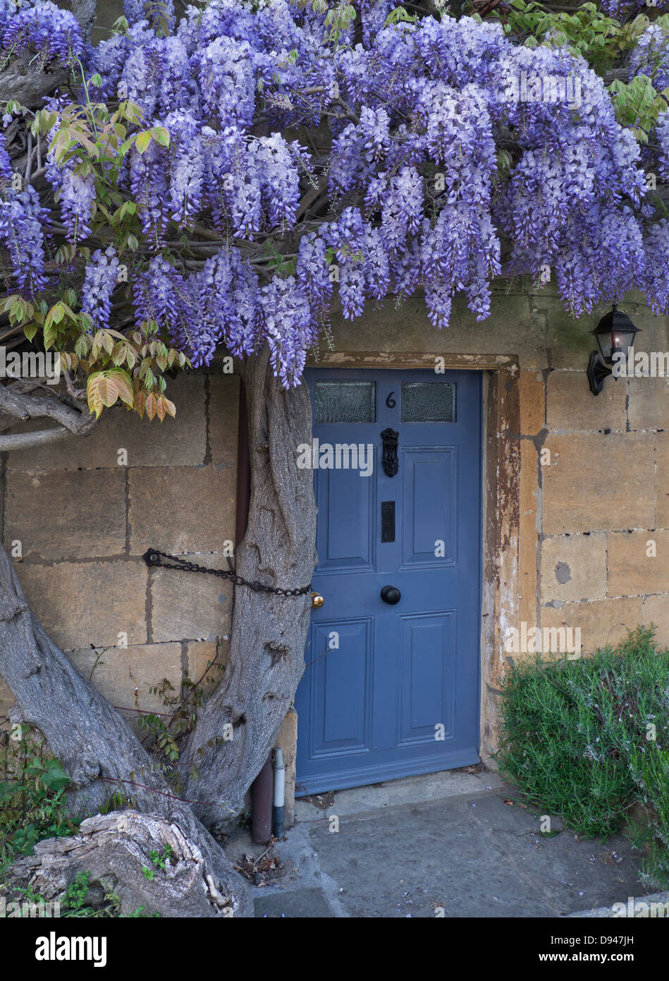 Sur le mur de wisteria cottage historique au crépuscule dans centre village de Broadway Cotswolds Angleterre Royaume-uni Worcestershire Banque D'Images
