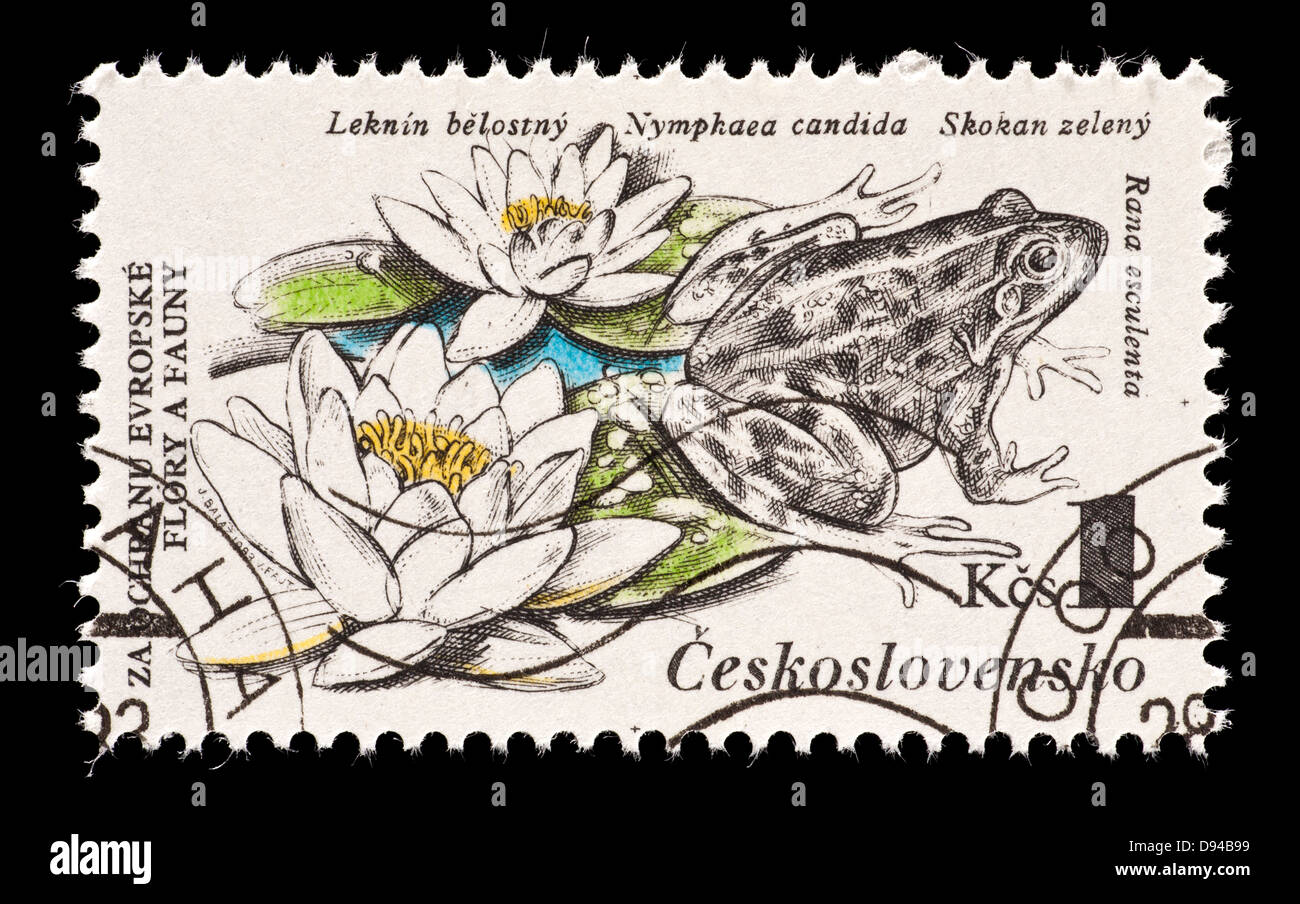 Timbre-poste de la Tchécoslovaquie représentant une grenouille d'eau commune (Rana esculenta) et nénuphars (Nymphaea candida) Banque D'Images