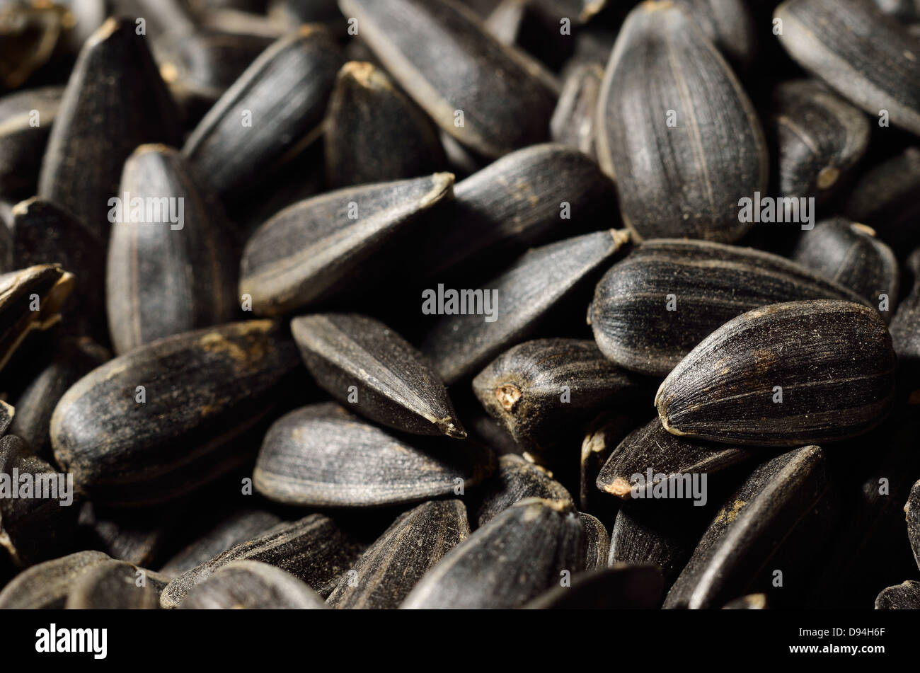 Close-up de graines de tournesol noir Banque D'Images