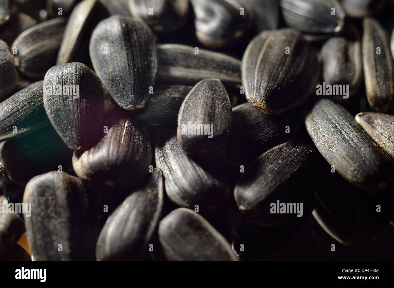 Arrière-plan de graines de tournesol noir Banque D'Images