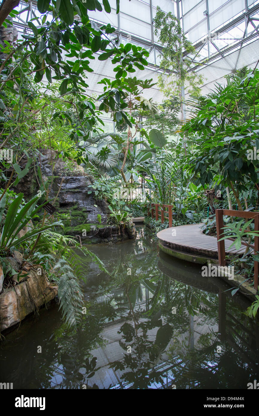 Jardin botanique de la reine Sirikit sous les auspices du Ministère thaïlandais des ressources naturelles et de l'environnement. Banque D'Images