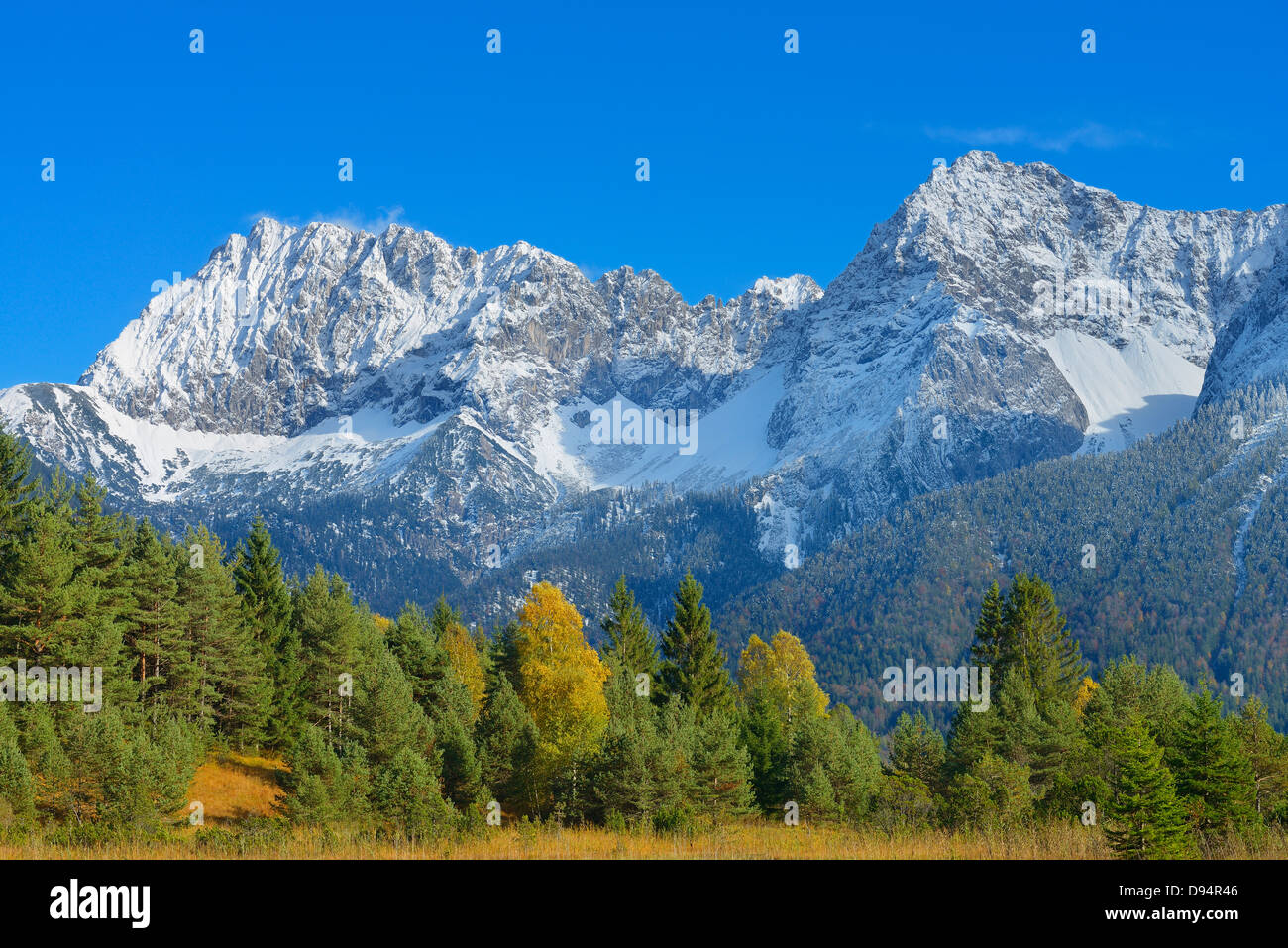 Arbres en automne avec des Karwendel, près de Mittenwald, Werdenfelser Land, Upper Bavaria, Bavaria, Germany Banque D'Images