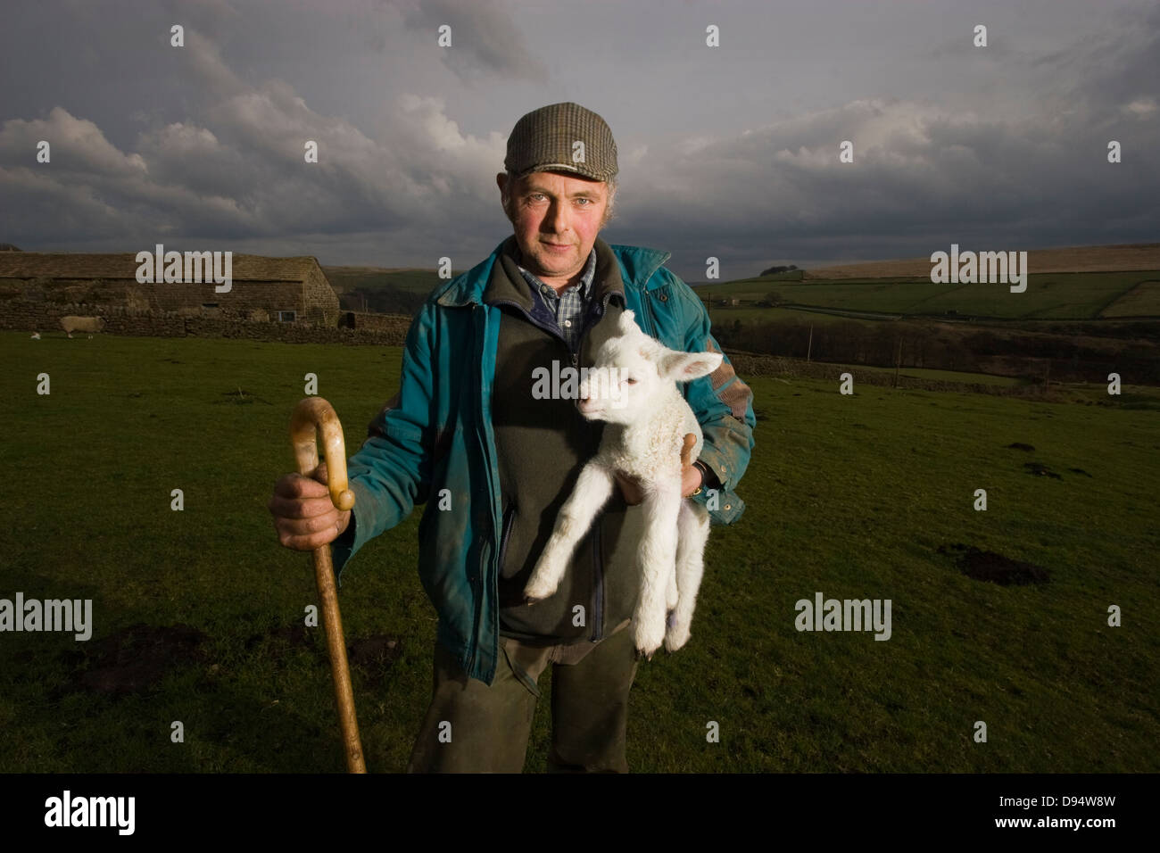 Yorkshire Hill Farmer avec de l'agneau Banque D'Images