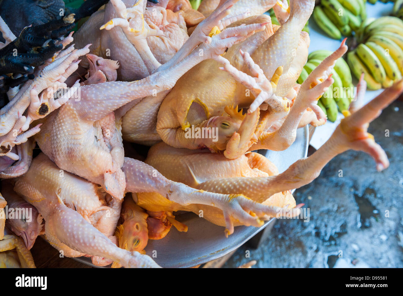 Du poulet à la vendre à Sapa marché avec la tête et les pieds ne sont pas supprimées. Vietnam du Nord Banque D'Images