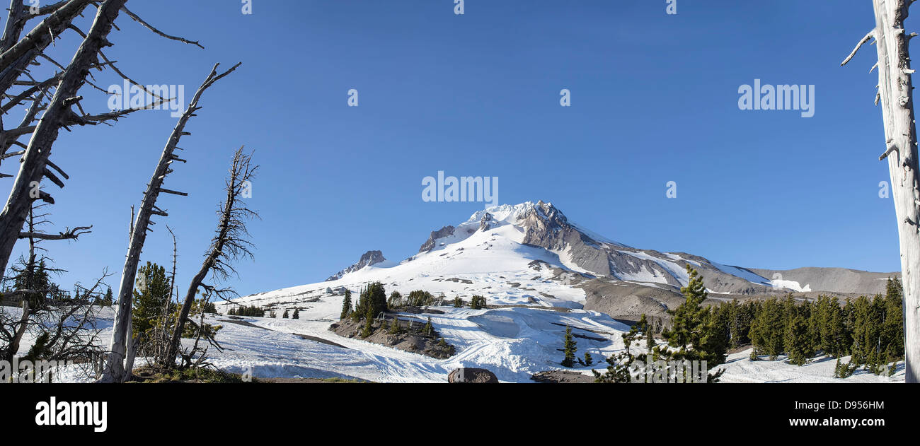 Mount Hood avec ciel bleu clair en Oregon Panorama Banque D'Images