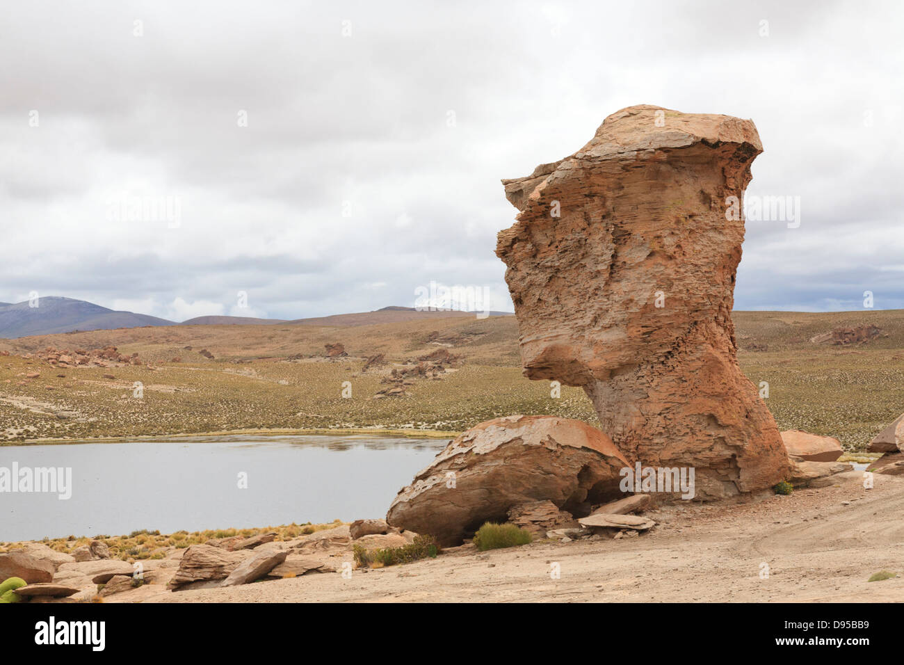 Valle de Rocas, sel, Tours, au sud-ouest de l'Altiplano Bolivie Banque D'Images