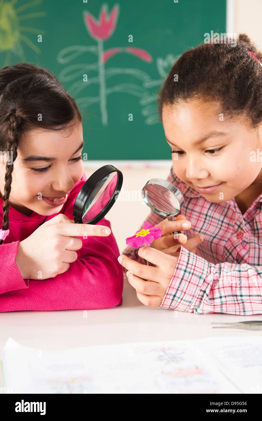 Portrait of Girls Looking at Flower in classroom, Baden-Wurttemberg, Germany Banque D'Images