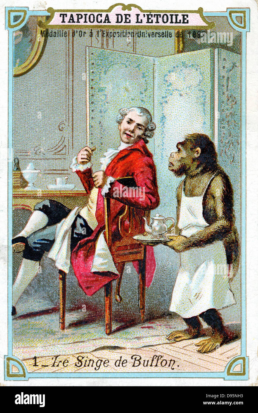 Georges-Louis Leclerc, Comte de Buffon (1707-88), naturaliste français ...