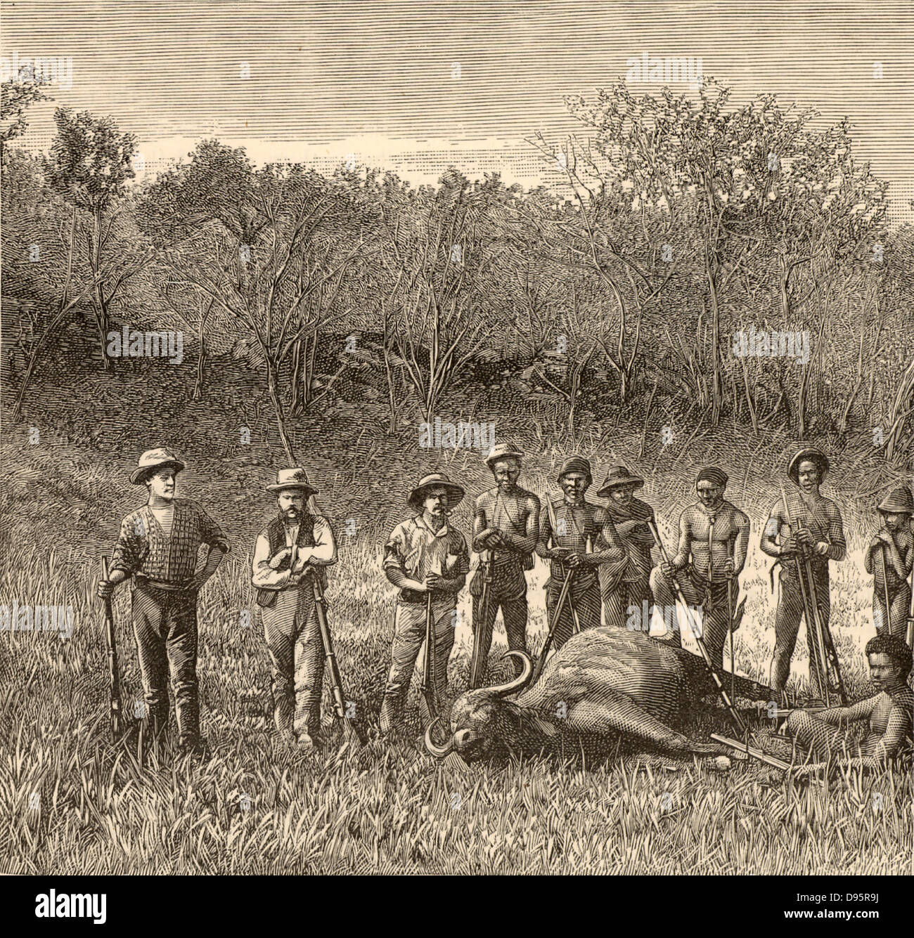 La chasse au gros gibier dans le Transvaal, en Afrique. Posant autour d'un chasseurs de bisons ont tourné. La gravure sur bois c1890. Banque D'Images