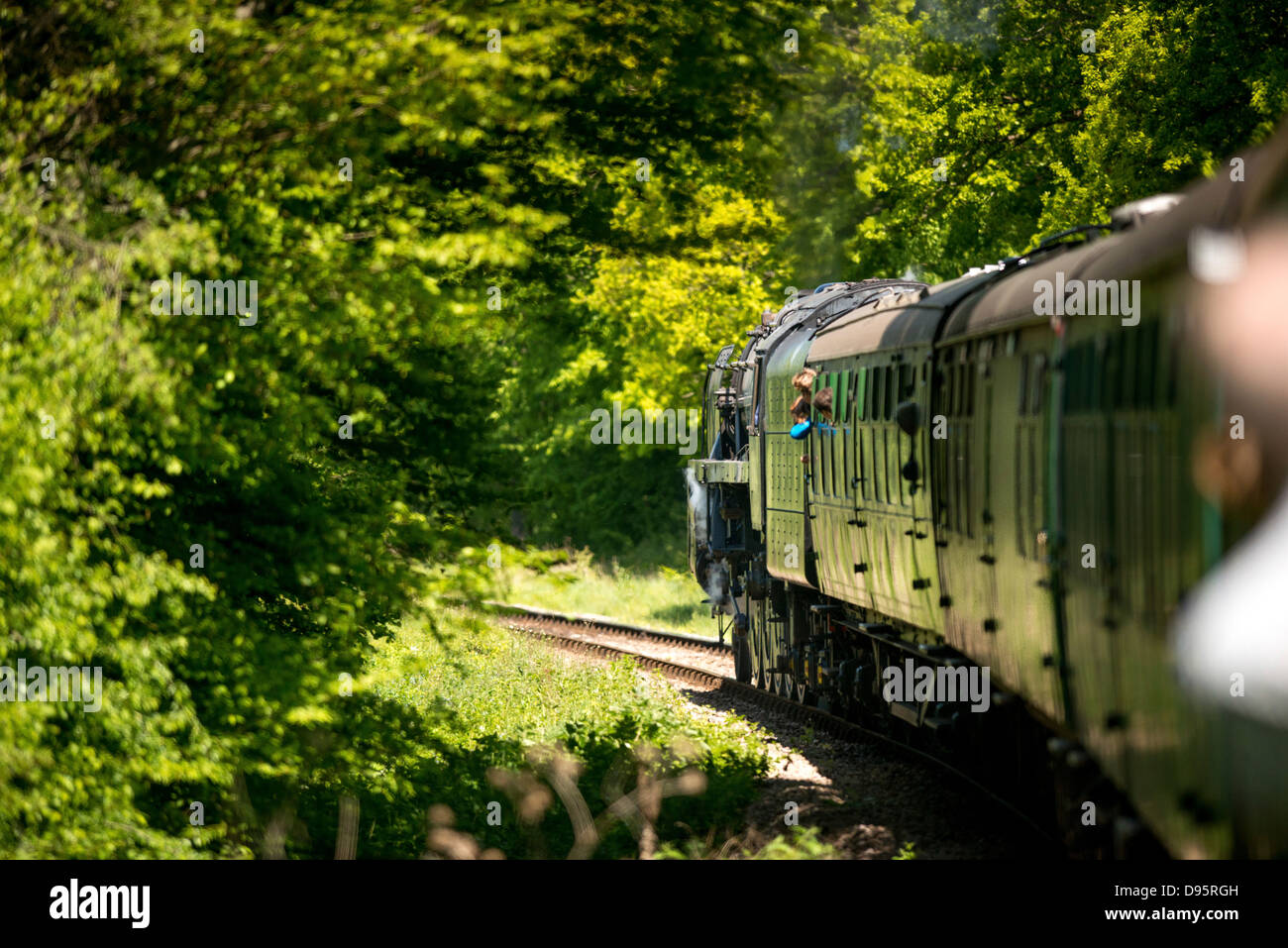 Les Bluebell Railway dans l'East Sussex, Royaume-Uni. L'indicateur de la première norme de préservation de la vapeur de fer. Banque D'Images