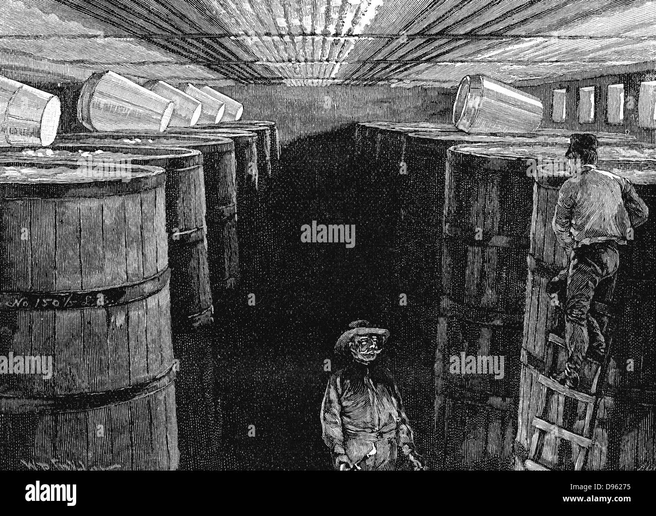 Cave de fermentation dans une brasserie américaine. La gravure sur bois de 1885. Banque D'Images