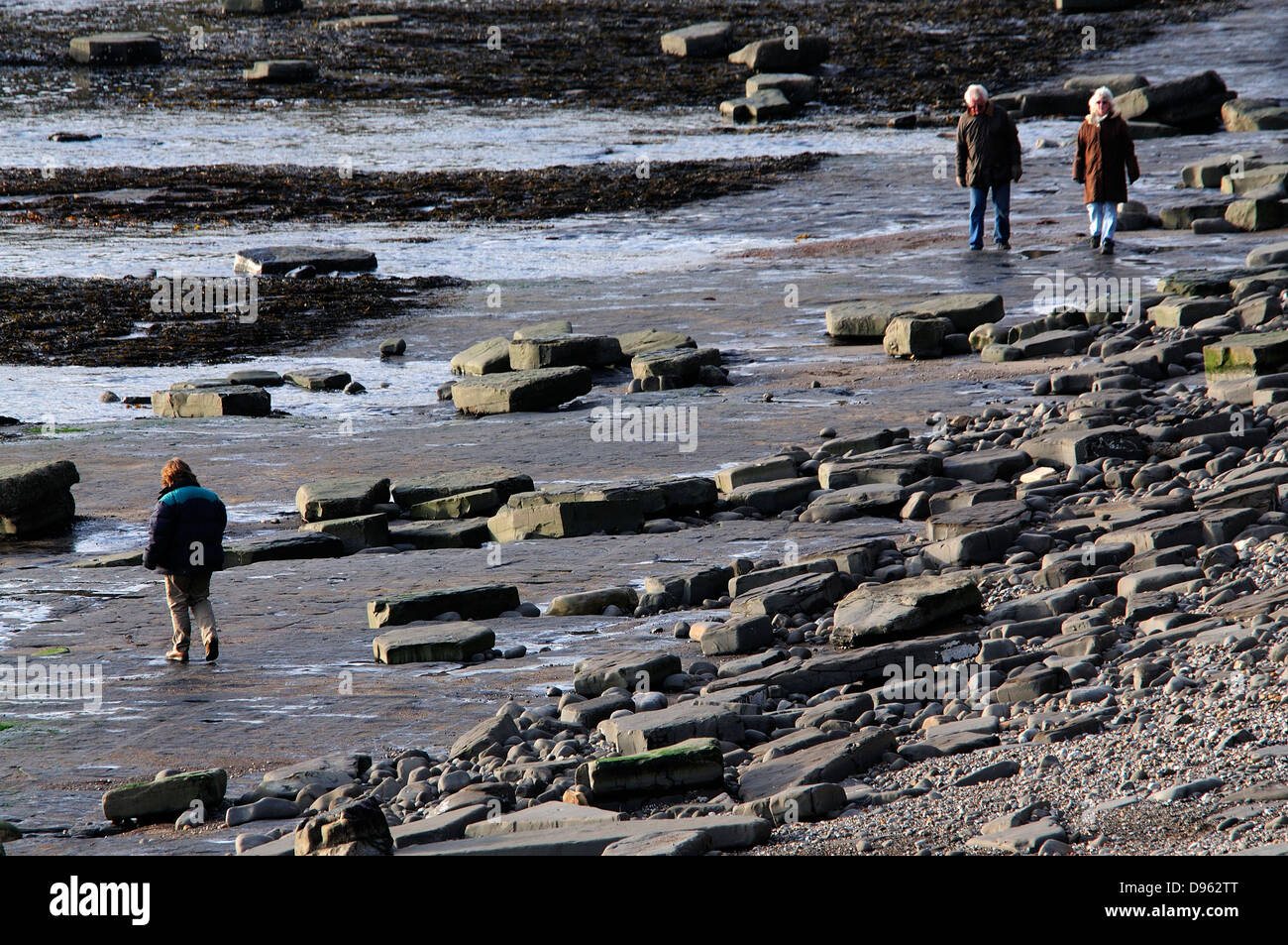 Les personnes bénéficiant de la marée basse à Kimmeridge sur la côte jurassique Banque D'Images