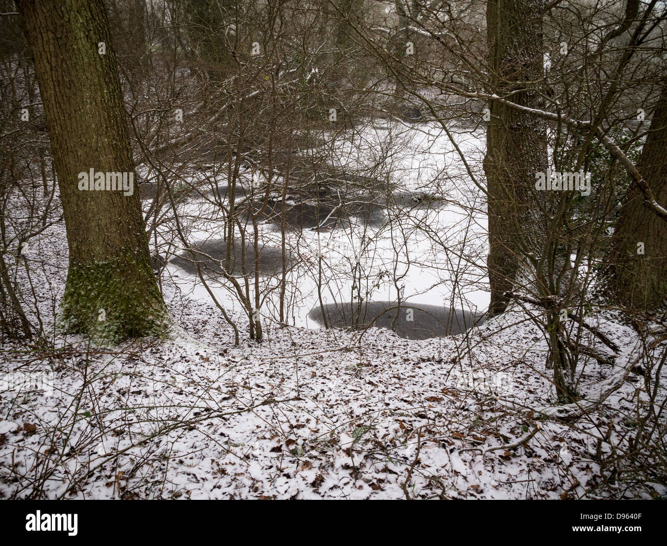 Étang des bois gel avec des arbres et des branches et les correctifs de fusion dans la neige Banque D'Images