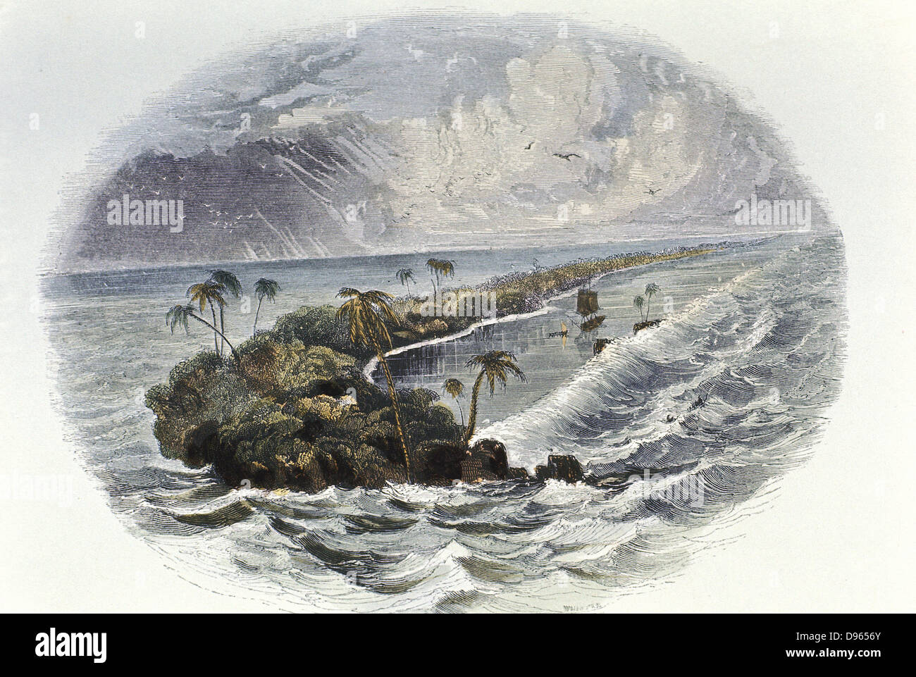 Coral Reef : gravure couleur publié en 1849. Temps nécessaire pour la construction des récifs coralliens et des îles était une preuve utilisée par Charles Darwin à appuyer la théorie d'une longue échelle de temps géologique. Banque D'Images