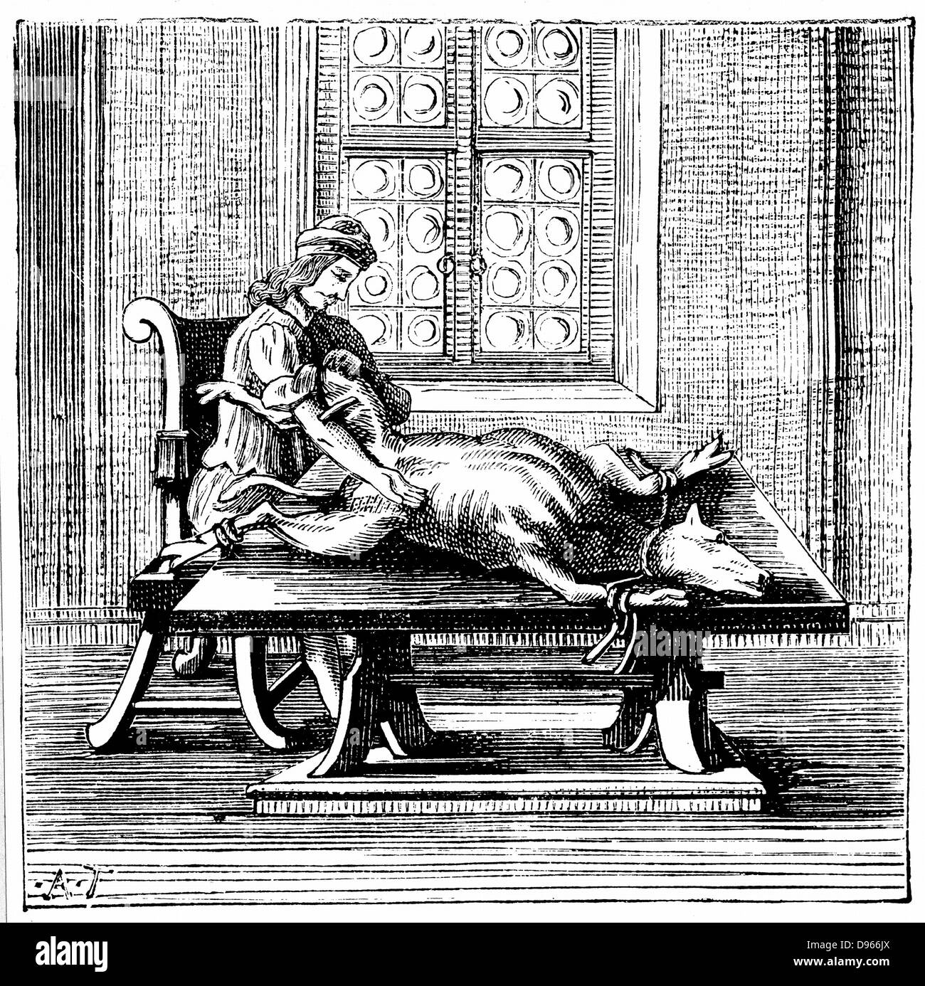 De l'animal à l'homme la transfusion sanguine : en Angleterre et en France, cette procédure n'a essayé à l'aide d'agneaux et veaux. Après gravure de George Abraham 'Mercklino Tractatio med. Curiosa de murto et occasu transfusionis sanguinis", Nuremberg, 1679. La gravure. Banque D'Images