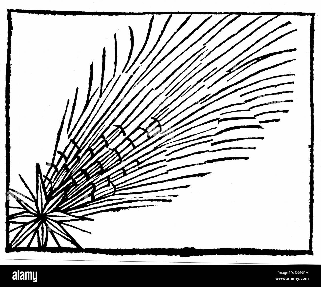La comète de Halley (684). De Hartmann Schedel 'Liber Chronicarum mundi' (Chronique de Nuremberg) 1493. Gravure sur bois. Banque D'Images