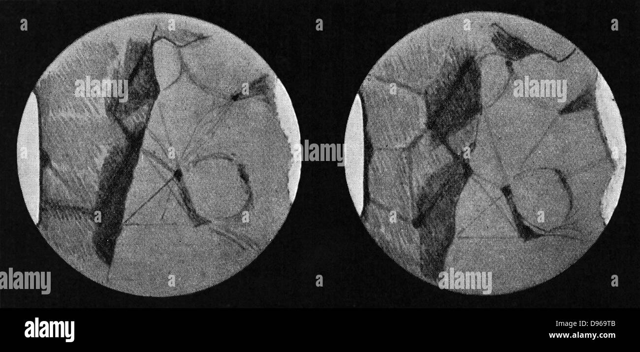 Dessins de Mars montrant son 'Canaux' et des calottes polaires à partir d'observations faites à l'Observatoire Lowell, Flagstaff, Arizona, USA du 8 au 12 juillet 1907. Banque D'Images