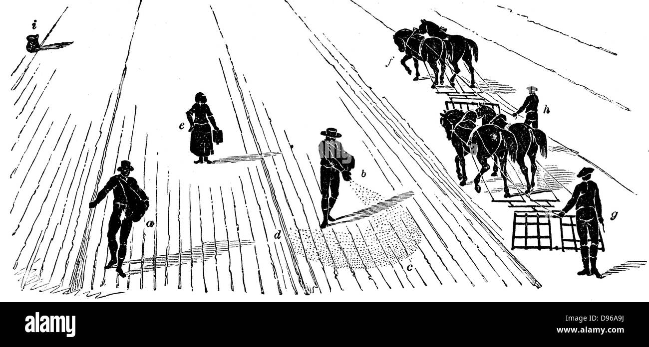 La rotation des cultures : Semis et herser le maïs. Dans la région de Norfolk 4-système des cours, le blé planté première année, suivie par les navets, puis l'orge, souvent underplanted avec de l'herbe ou d'herbe et de trèfle ley à utiliser pour le foin ou le pâturage en 4e année. 1855 Gravure Banque D'Images La rotation des cultures : Semis et herser le maïs. Dans la région de Norfolk 4-système des cours, le blé planté première année, suivie par les navets, puis l'orge, souvent underplanted avec de l'herbe ou d'herbe et de trèfle ley à utiliser pour le foin ou le pâturage en 4e année. 1855 Gravure Banque D'Images