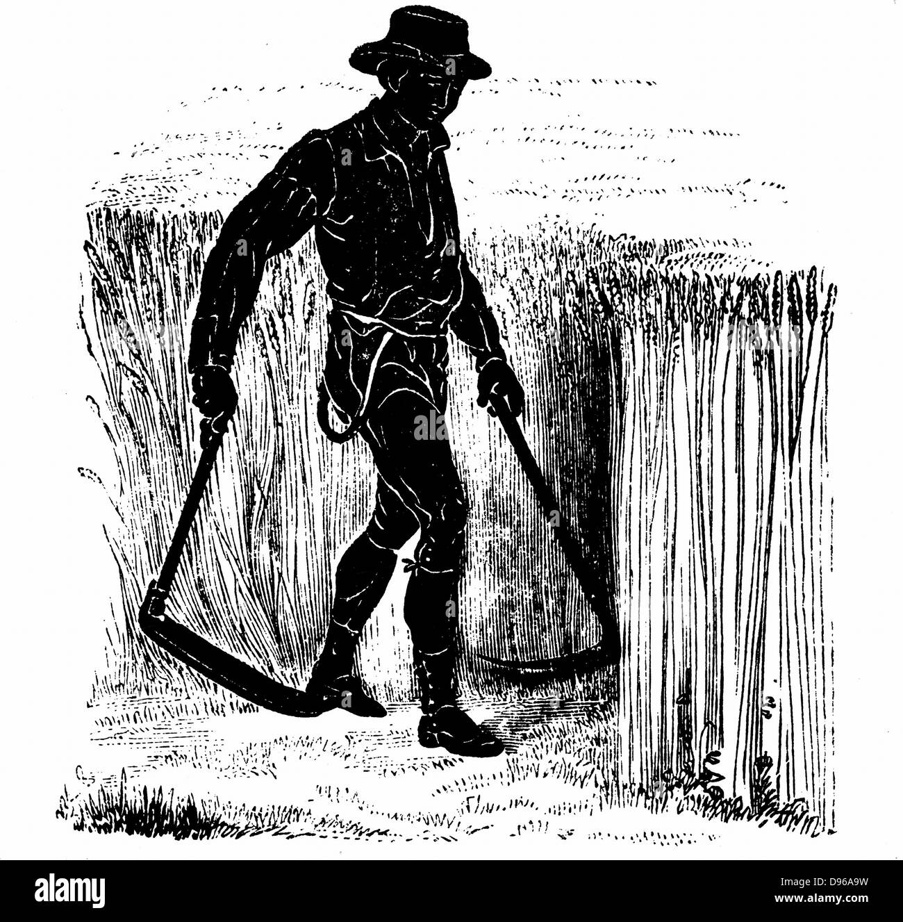 Rotation des cultures : tirer avec un Hainaut faux. Dans Norfolk 4 système de cours, le blé planté première année, suivie par les navets, puis l'orge, souvent underplanted avec de l'herbe ou d'herbe et de trèfle ley à utiliser pour le foin ou le pâturage en 4e année. 1855 Gravure Banque D'Images Rotation des cultures : tirer avec un Hainaut faux. Dans Norfolk 4 système de cours, le blé planté première année, suivie par les navets, puis l'orge, souvent underplanted avec de l'herbe ou d'herbe et de trèfle ley à utiliser pour le foin ou le pâturage en 4e année. 1855 Gravure Banque D'Images
