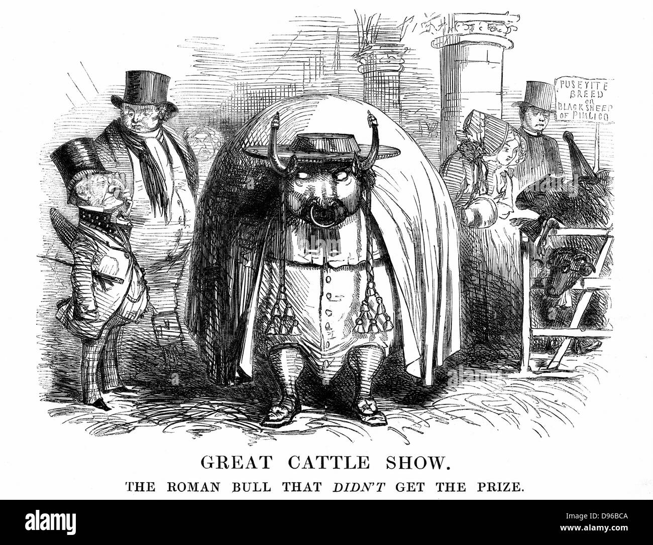 Grand Bétail Show'. Le romain que Bull n'a pas obtenu le prix. Mr Punch et John Bull Bull (affichage de l'édit papal sur la restauration de l'Église catholique romaine en anglais) avec dégoût. Caricature de 'Punch', Londres, 1850, de prendre des photos des bêtes grasses show qui a eu lieu à Smithfield, Londres en décembre de chaque année. La gravure. Banque D'Images