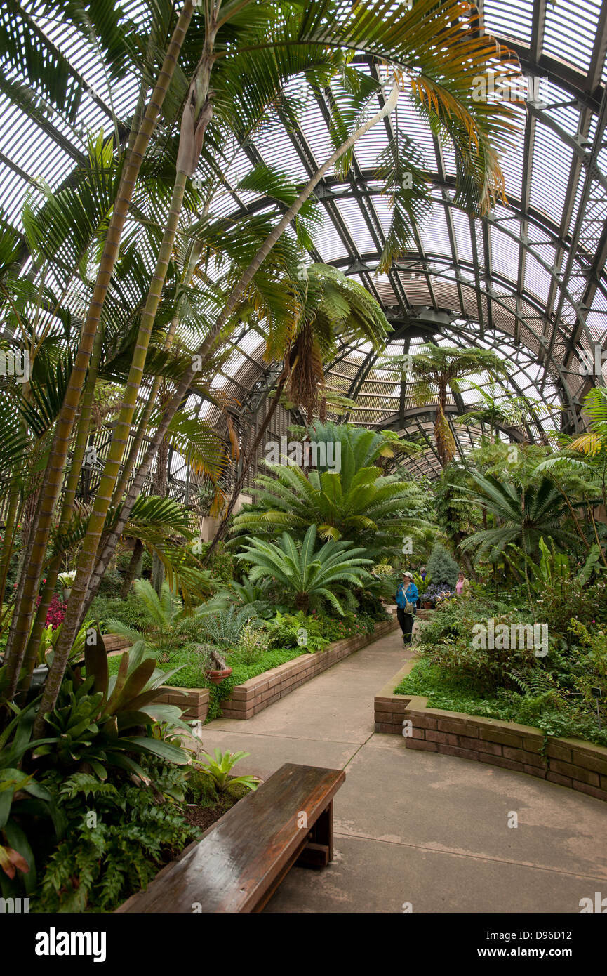 Jardin botanique, Balboa Park, San Diego, Californie, États-Unis d'Amérique Banque D'Images