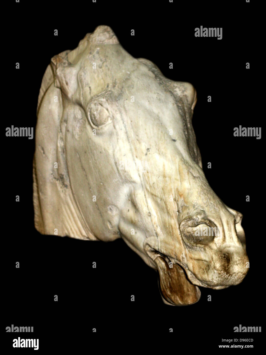 Statue d'une tête de cheval le char de la déesse de la lune Séléné. Acropole, Athènes, 438-432 BC. Du fronton est du Parthénon. Il montre le cheval fatigué de sa longue nuit de travail. Banque D'Images