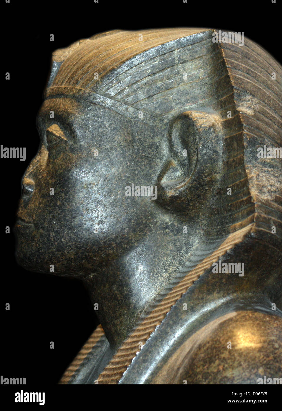 Pharaon Noir Banque D Image Et Photos Alamy Pharaon Noir Banque D Image Et Photos Alamy